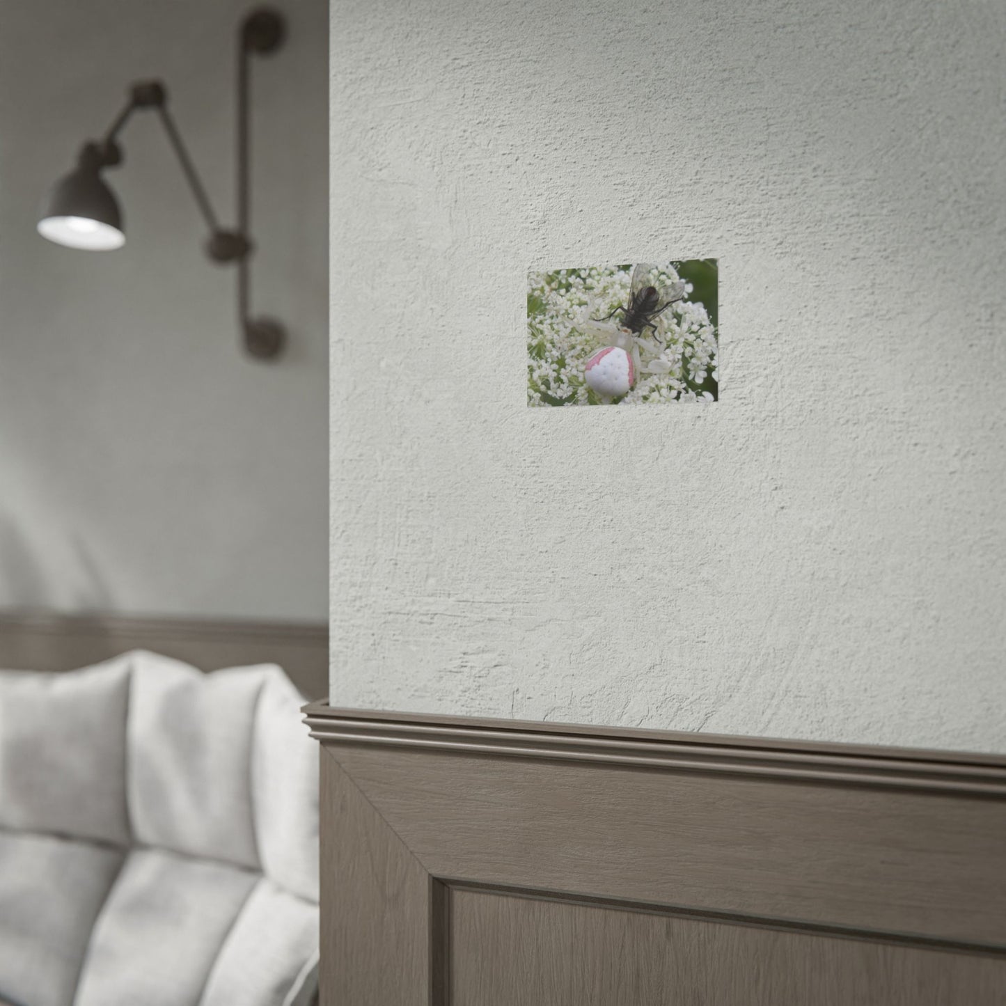 Pink Crab Spider Poster